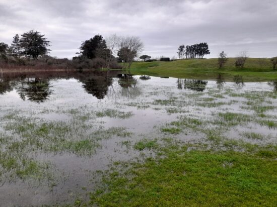 La règle du mois : l’eau temporaire